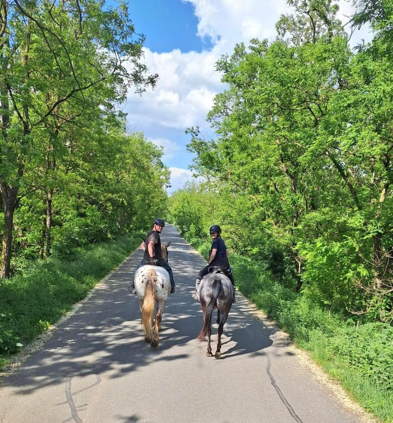 Penzion Horse Farm Lechovice Buitenkant foto