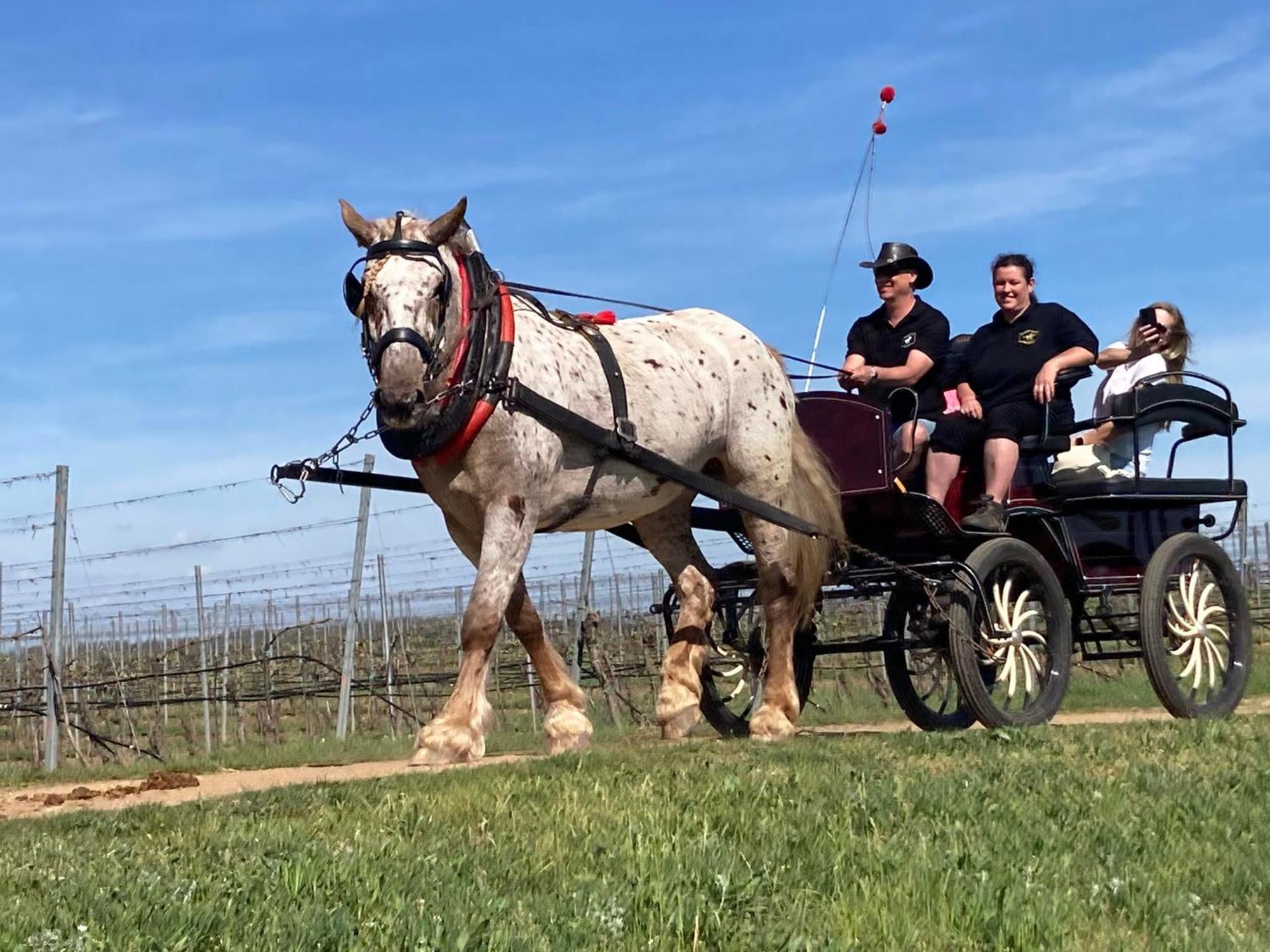 Penzion Horse Farm Lechovice Buitenkant foto